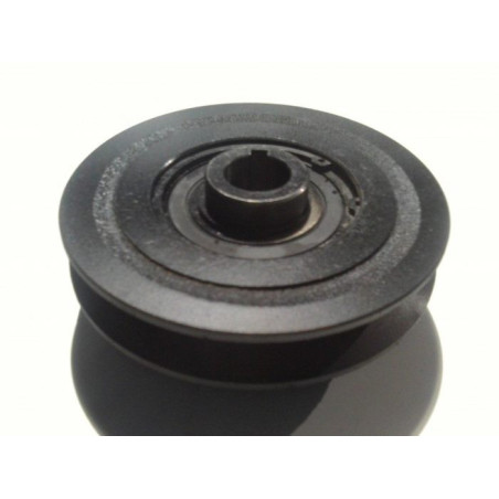 RP160HPC centrifugal koppling - slungkoppling -clutch